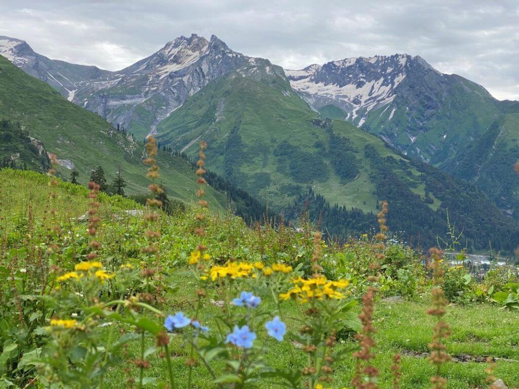 1024x768 AMAZING NATURE ACTIVITIES IN KULLU