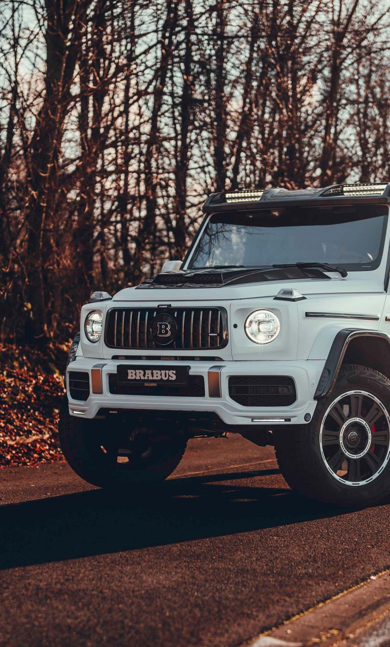 1280x2120 Download wallpaper 1280x2120 brabus 800