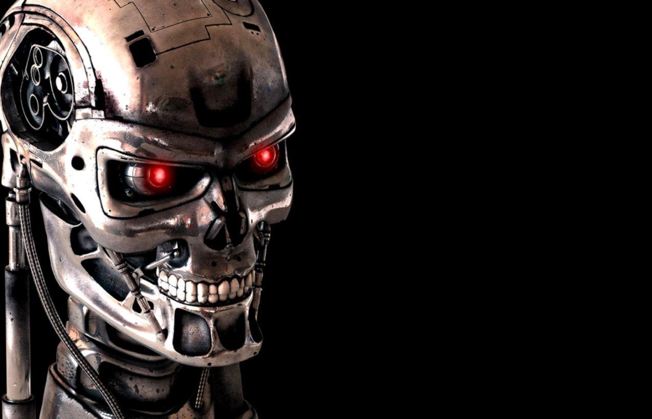 1274x819 Terminator Wallpaper