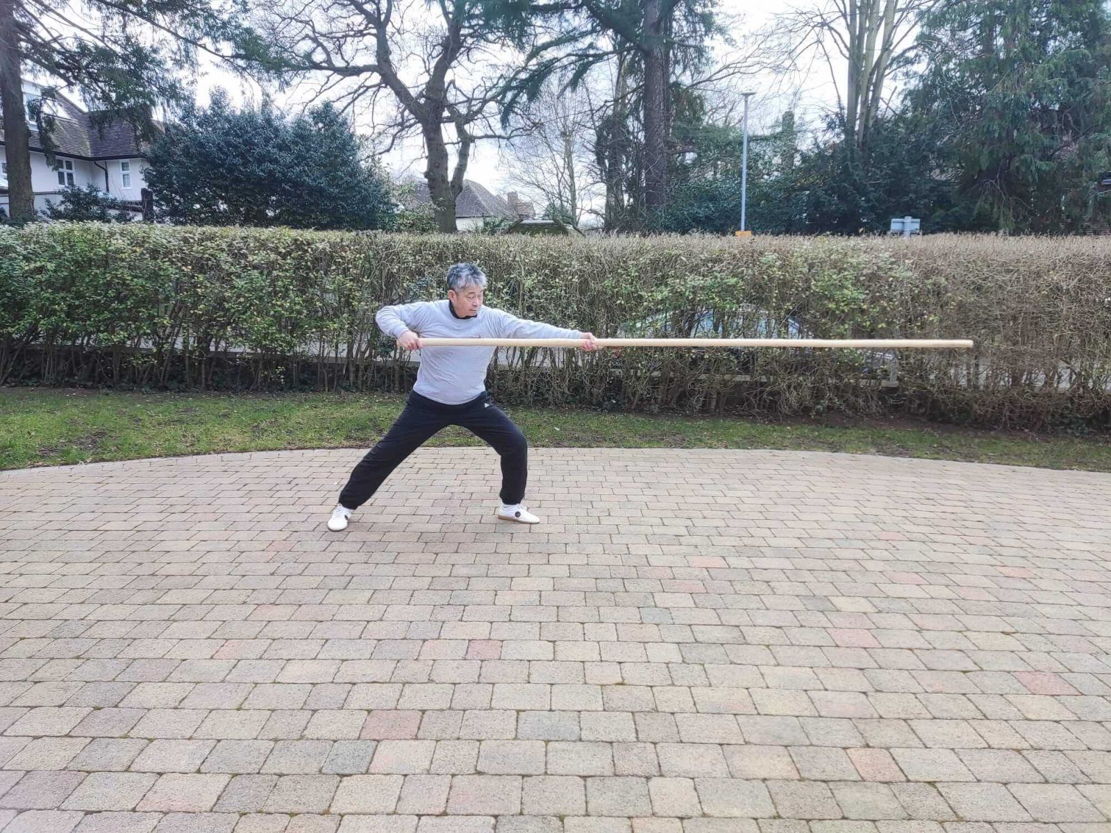 1600x1200 Chen Long Pole Part 7