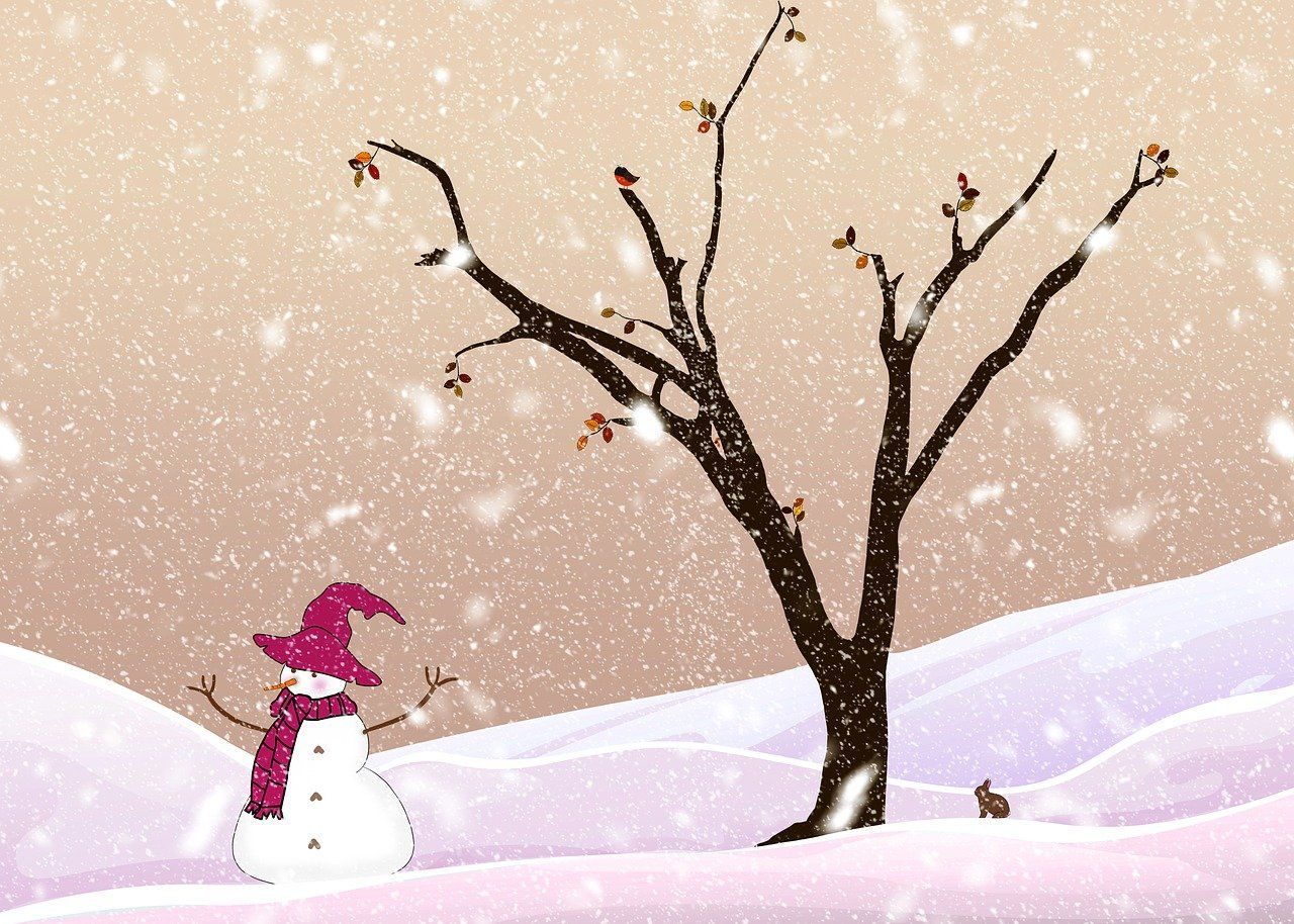 1280x914 Free First Snowfall & Snowfall Image
