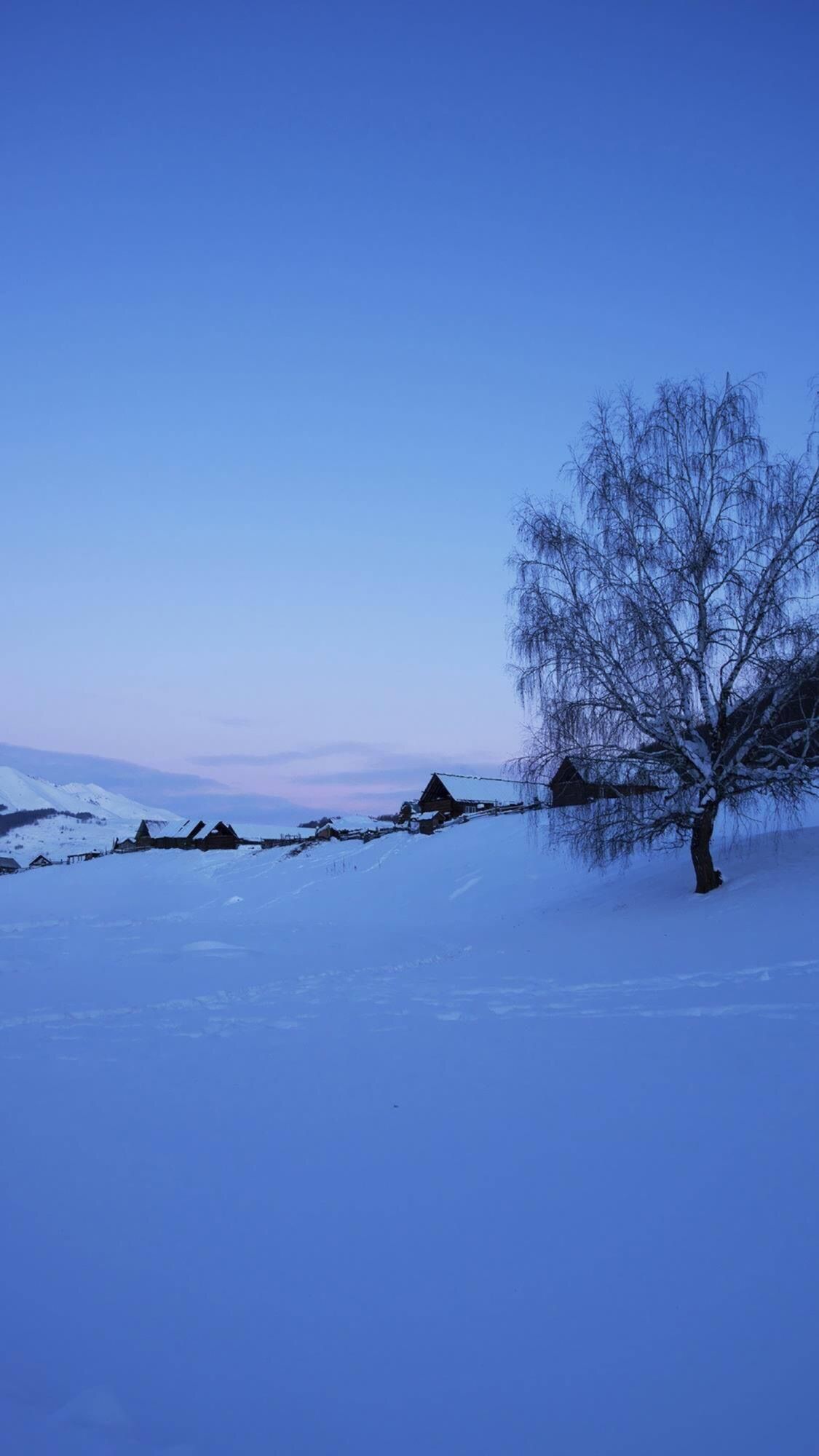 1125x2000 Winter snow scene mobile wallpaper