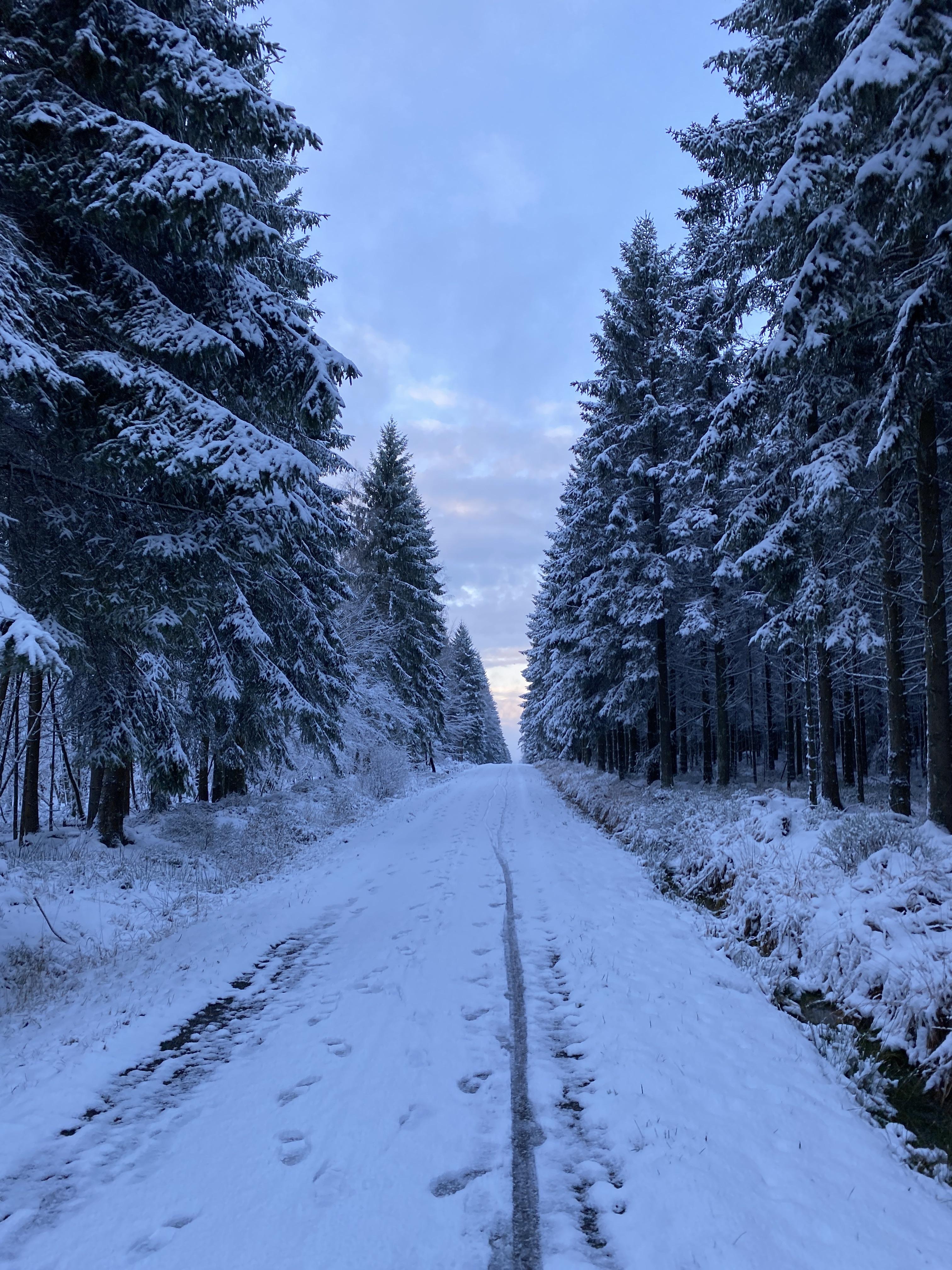 3024x4032 First snow of the season