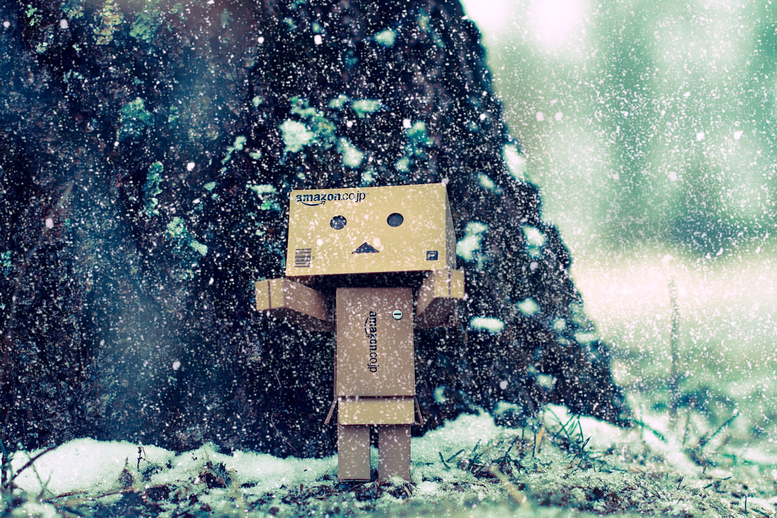 2560x1707 Danbo's first