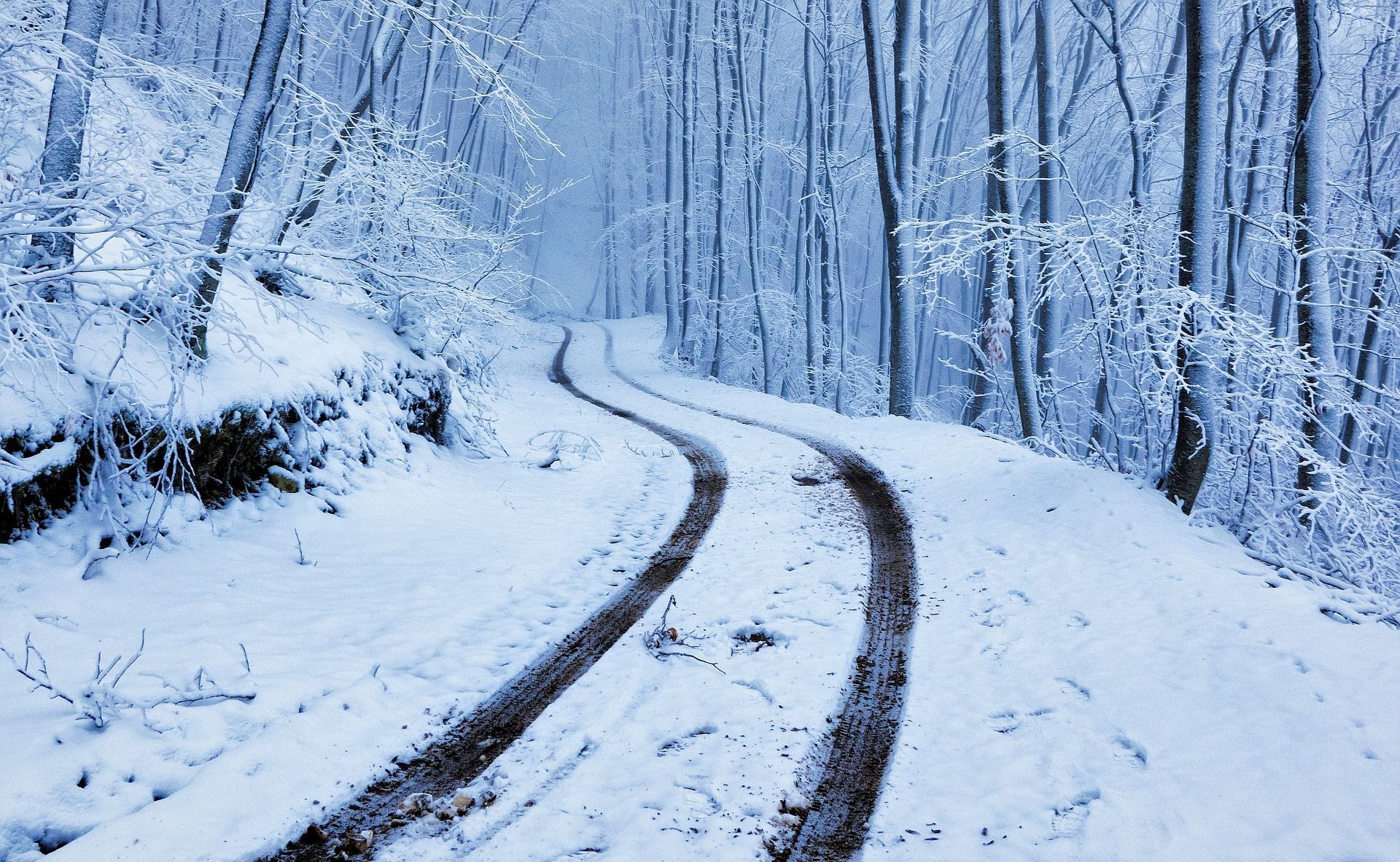 1920x1182 Barefoot in the Snow: First Snow