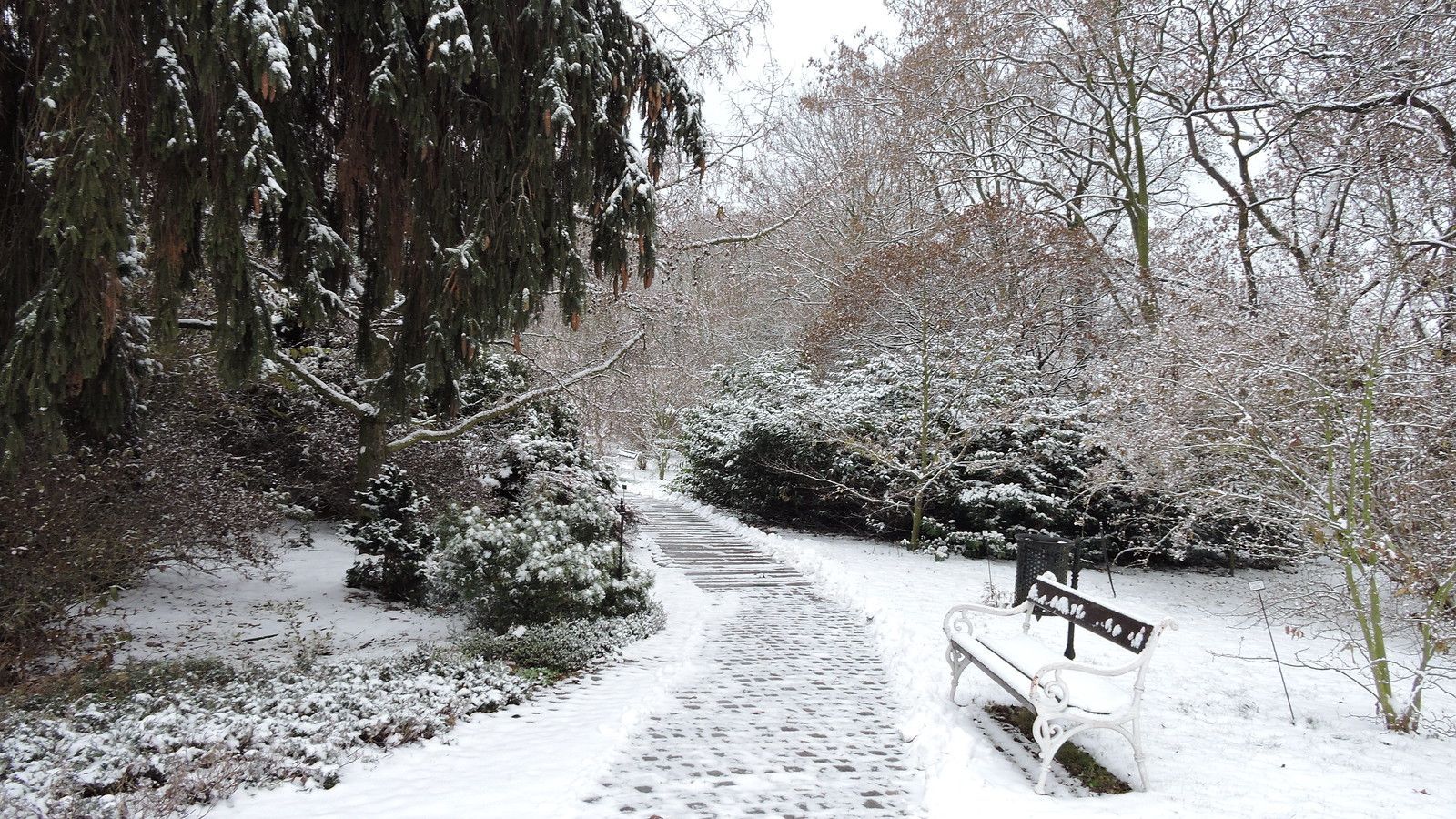 1600x900 First Snow in Bot