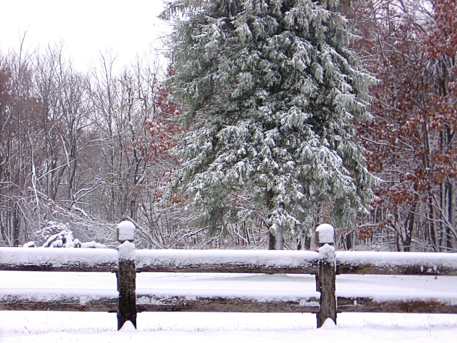 1600x1200 First Snow Free Photo Download