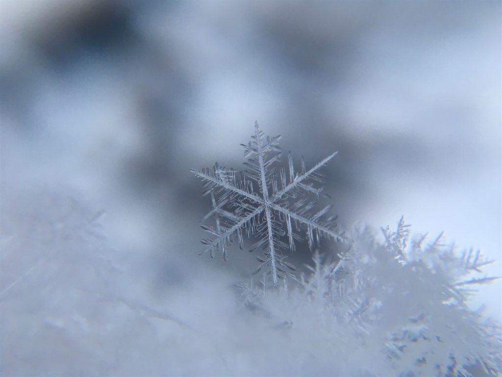 1024x768 Snow Sister Project Blog