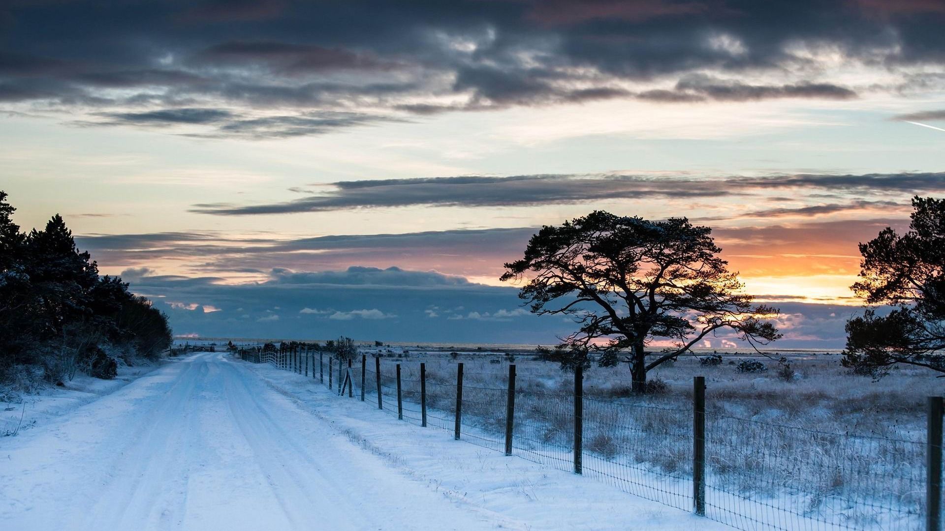 1920x1080 Winter first snow landscape HD