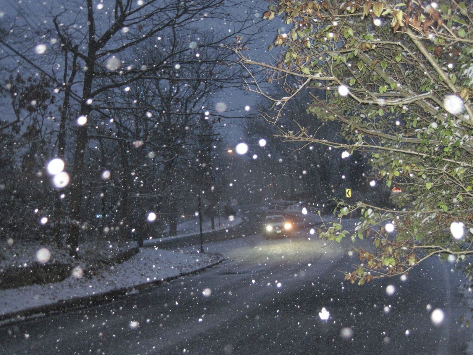 1600x1200 The First Snow Of The 2013 2014 Winter