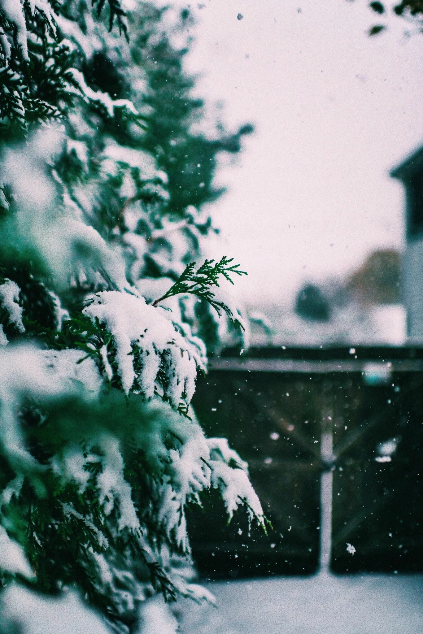 1366x2048 Snowfall Wallpaper 28 image