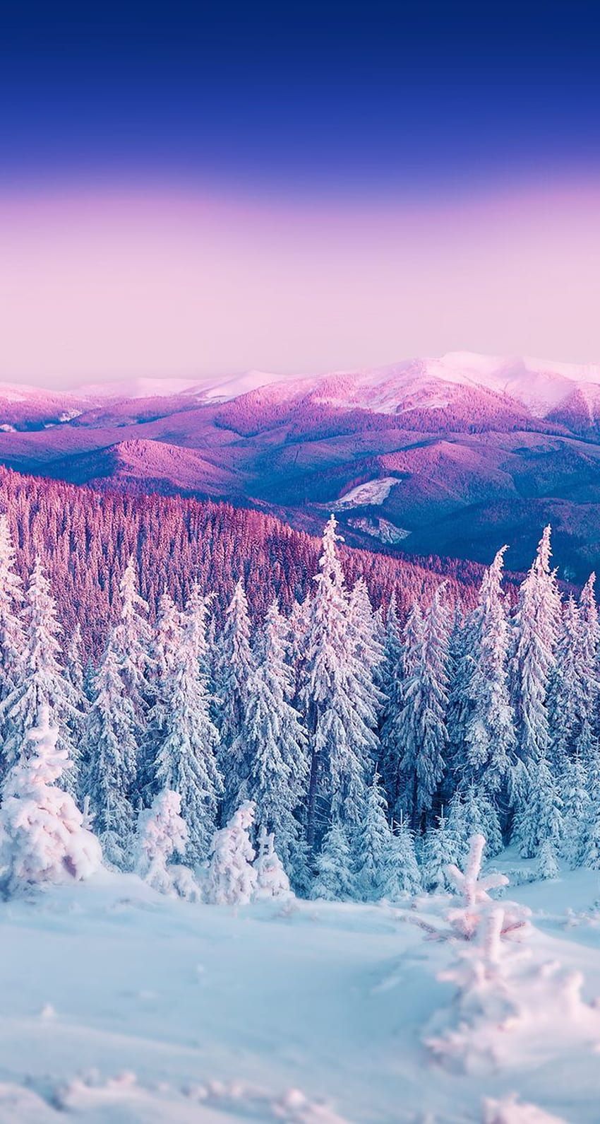 850x1590 First snow first snow stock HD