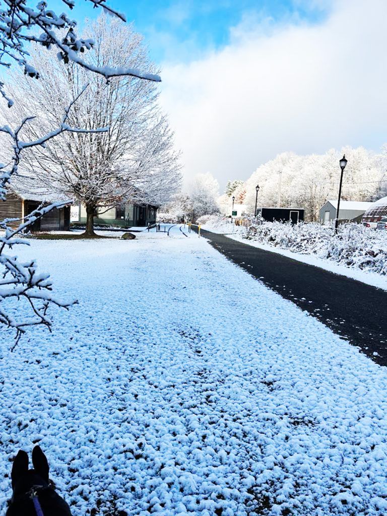768x1024 First Snow Monday Hardwick Gazette