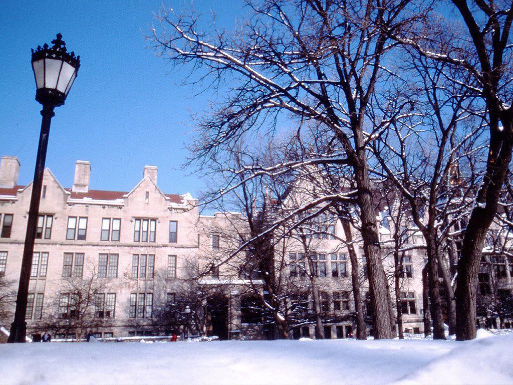 1024x768 University of Chicago Wallpaper