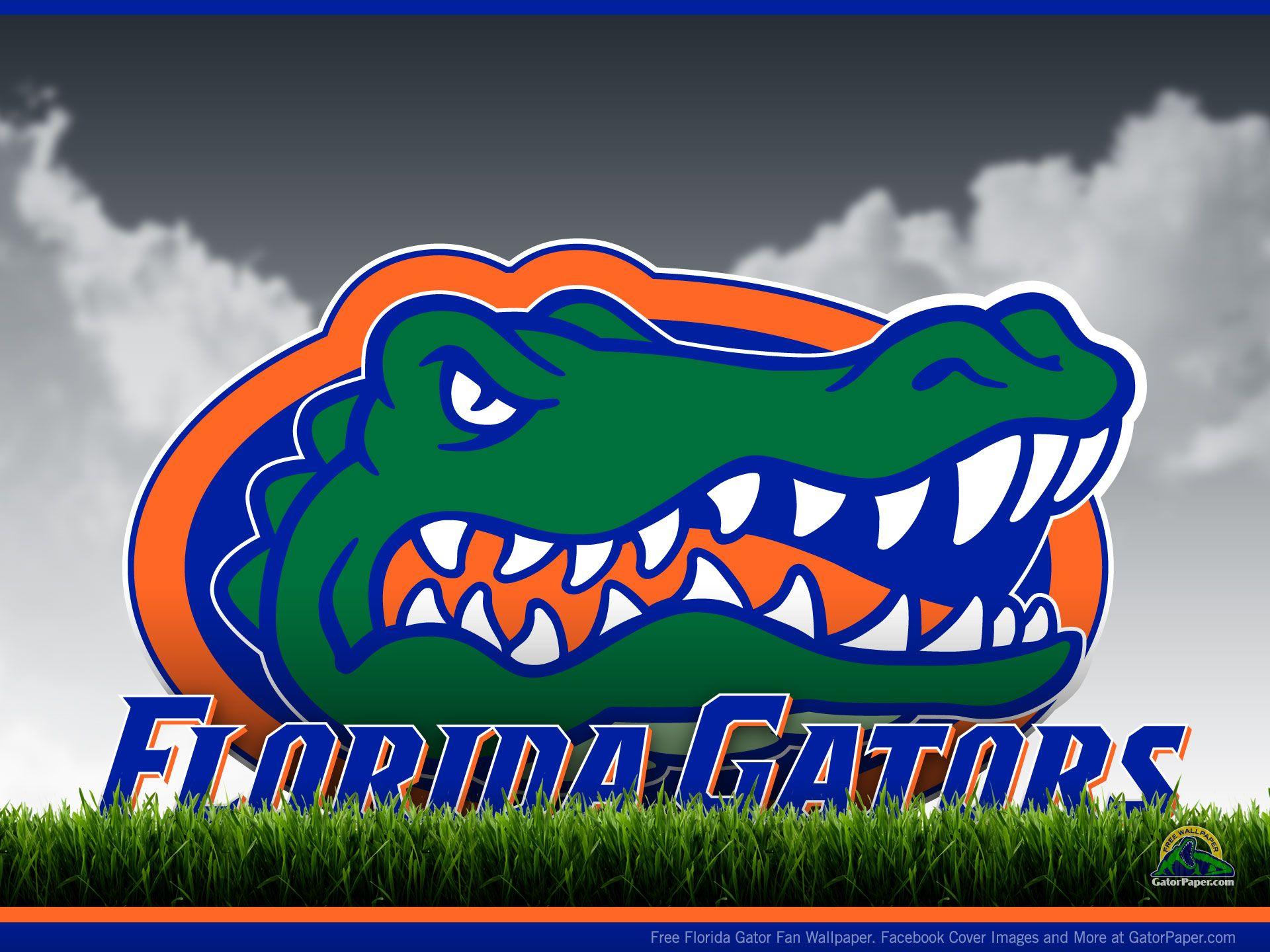 University Of Florida Desktop Wallpapers Top Free University Of Florida Desktop Backgrounds 4269