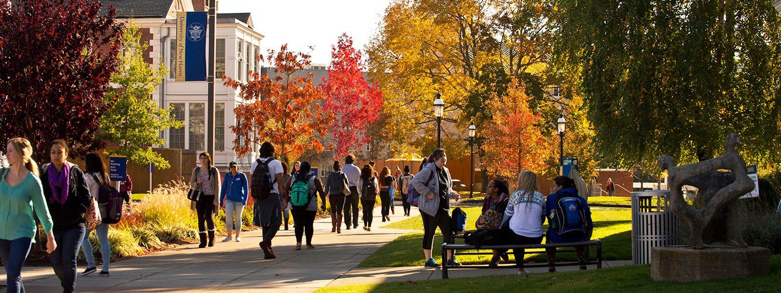1600x600 How Undergraduate Works: What Is Undergraduate Admissions
