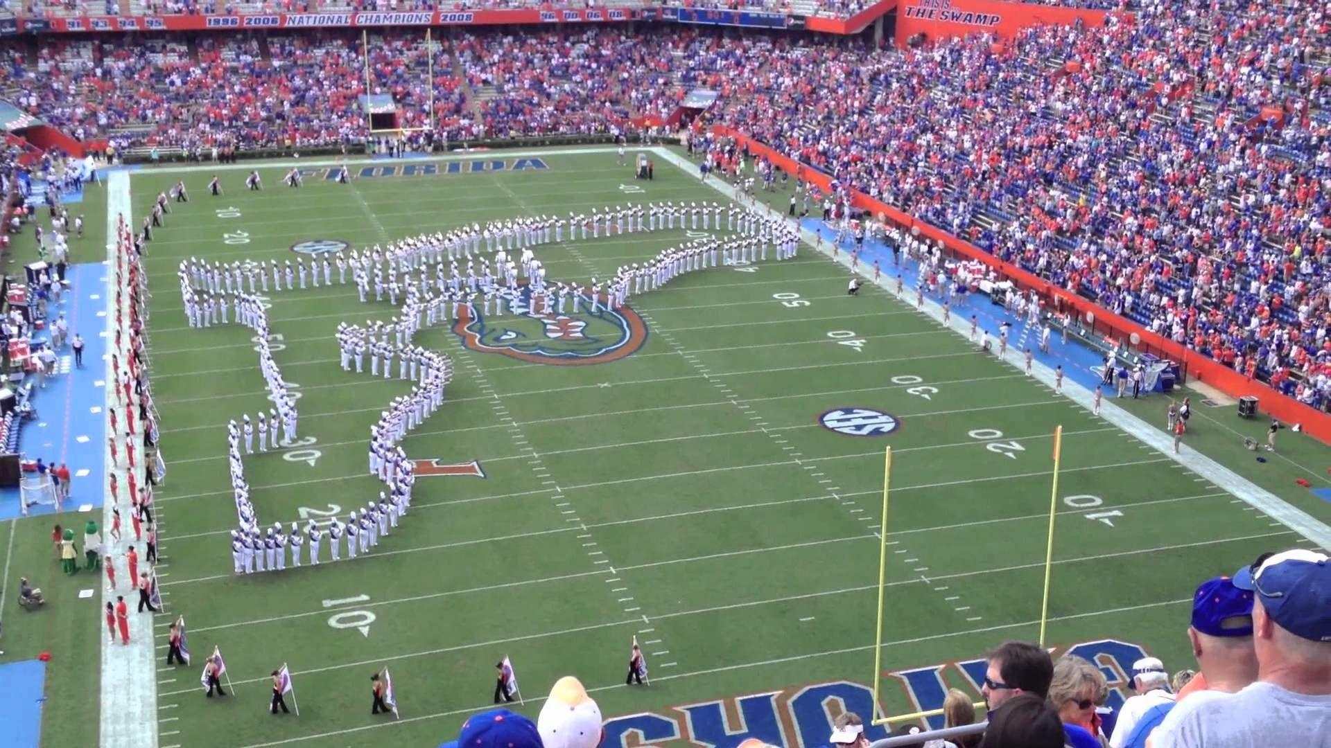 1920x1080 Florida Gator Wallpaper