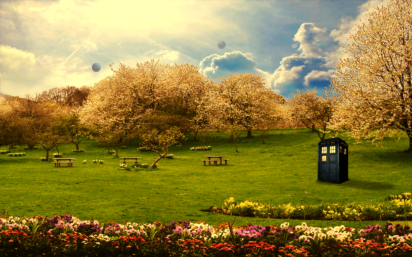 1440x900 Tardis in the Park