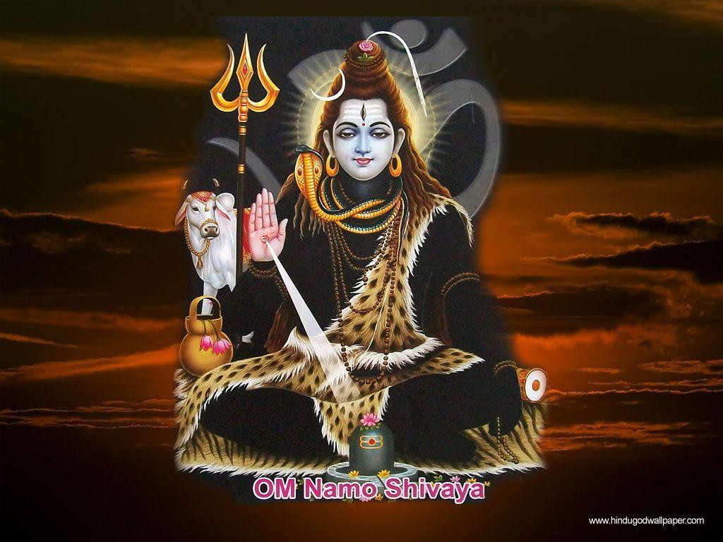Sawan 2023 Lord Shiva These Things Are Very Dear To Shankar Ji Shower  Blessings  Lord Shiva शकर भगवन क बहद परय ह य 10 चज पज म  इसतमल स बरसत ह
