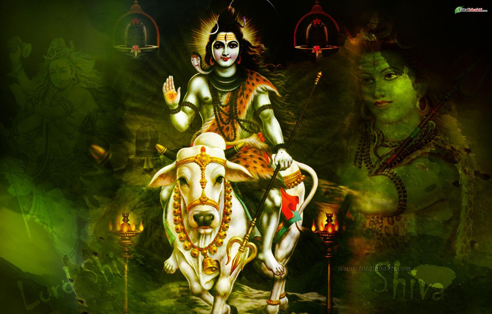 1600x1024 God Shiva hình nền