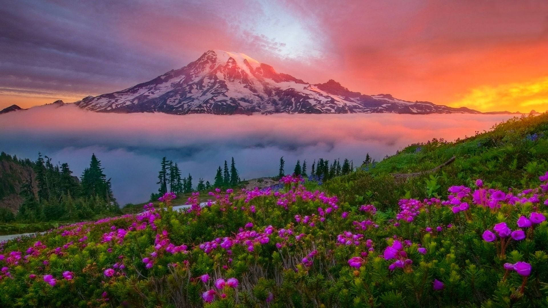 1920x1080 Washington Mount Rainier Dusk Wallpaper