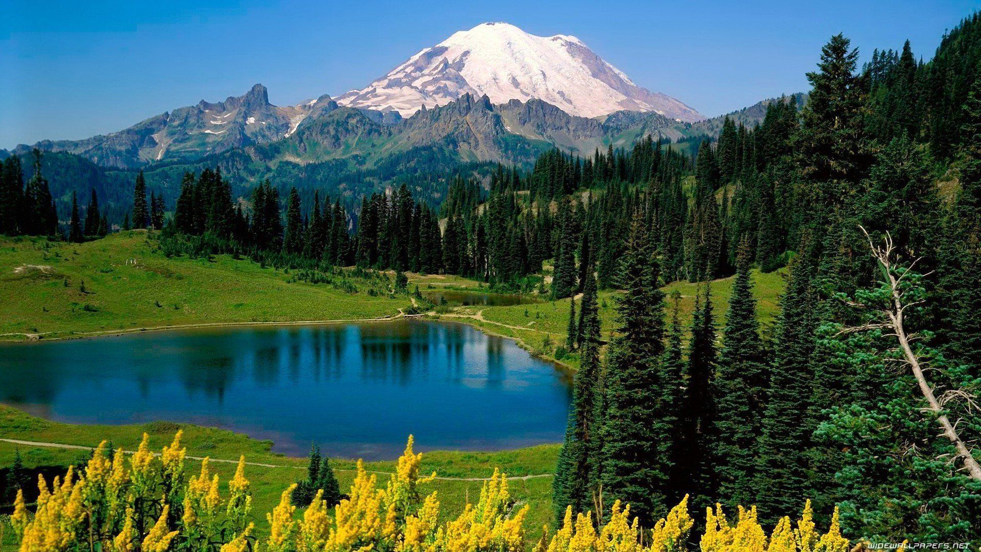 1920x1080 Washington State Mountain High