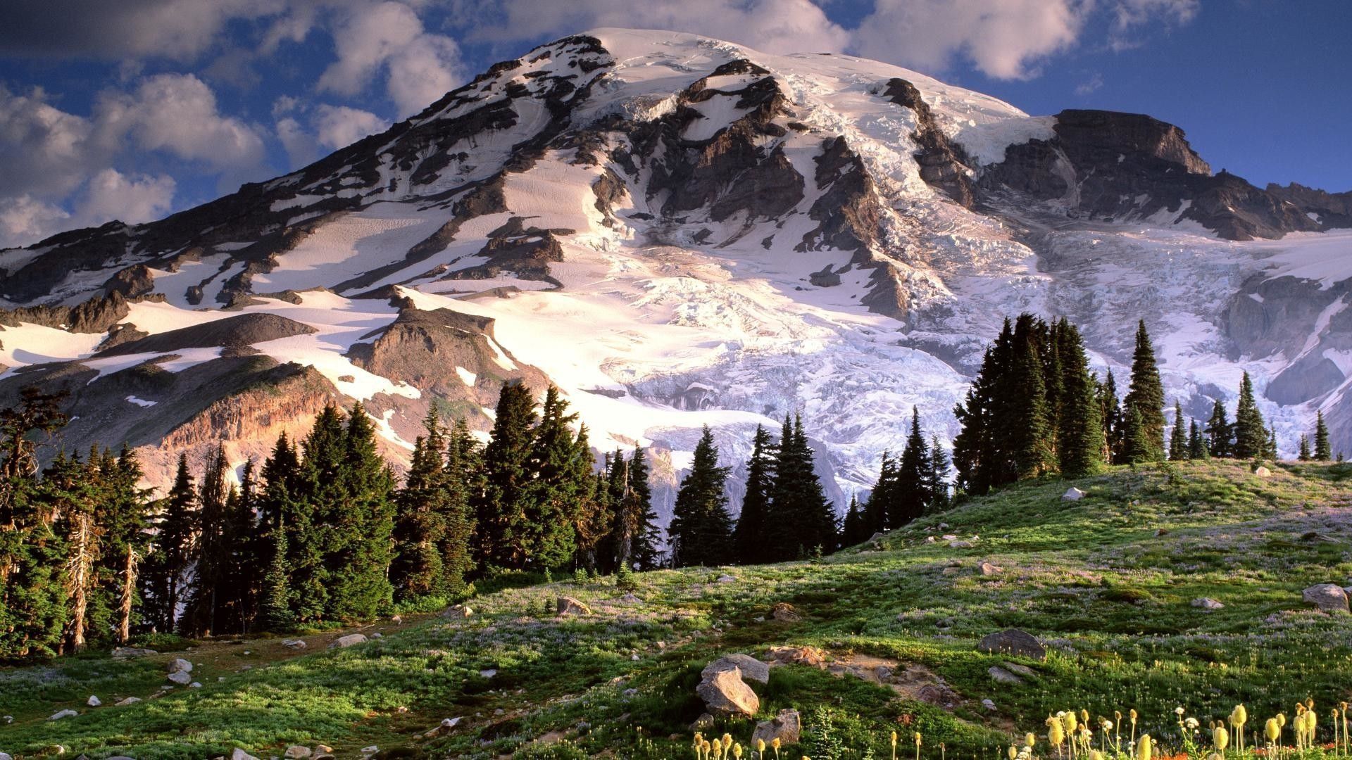 1920x1080 Mount Rainier National Park Wallpaper