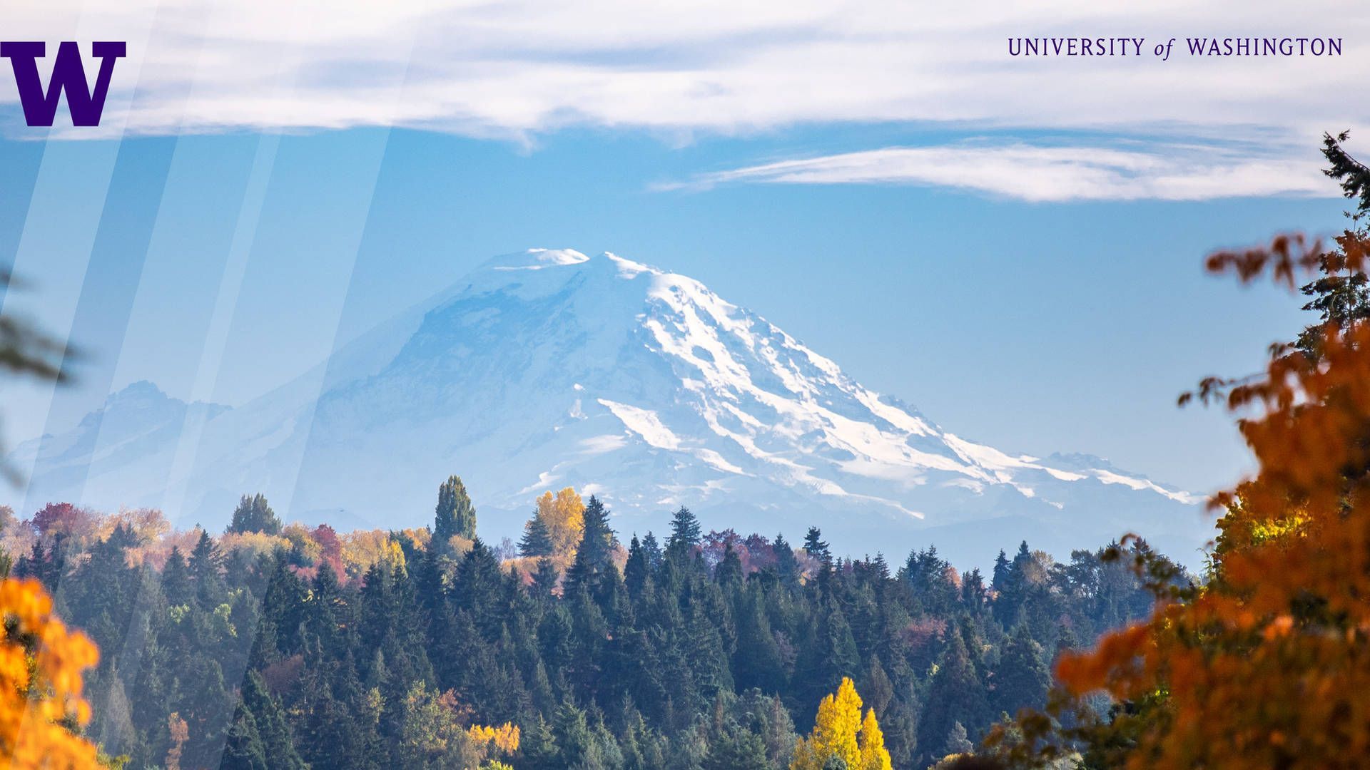 1920x1080 Download Mt. Rainier View At University