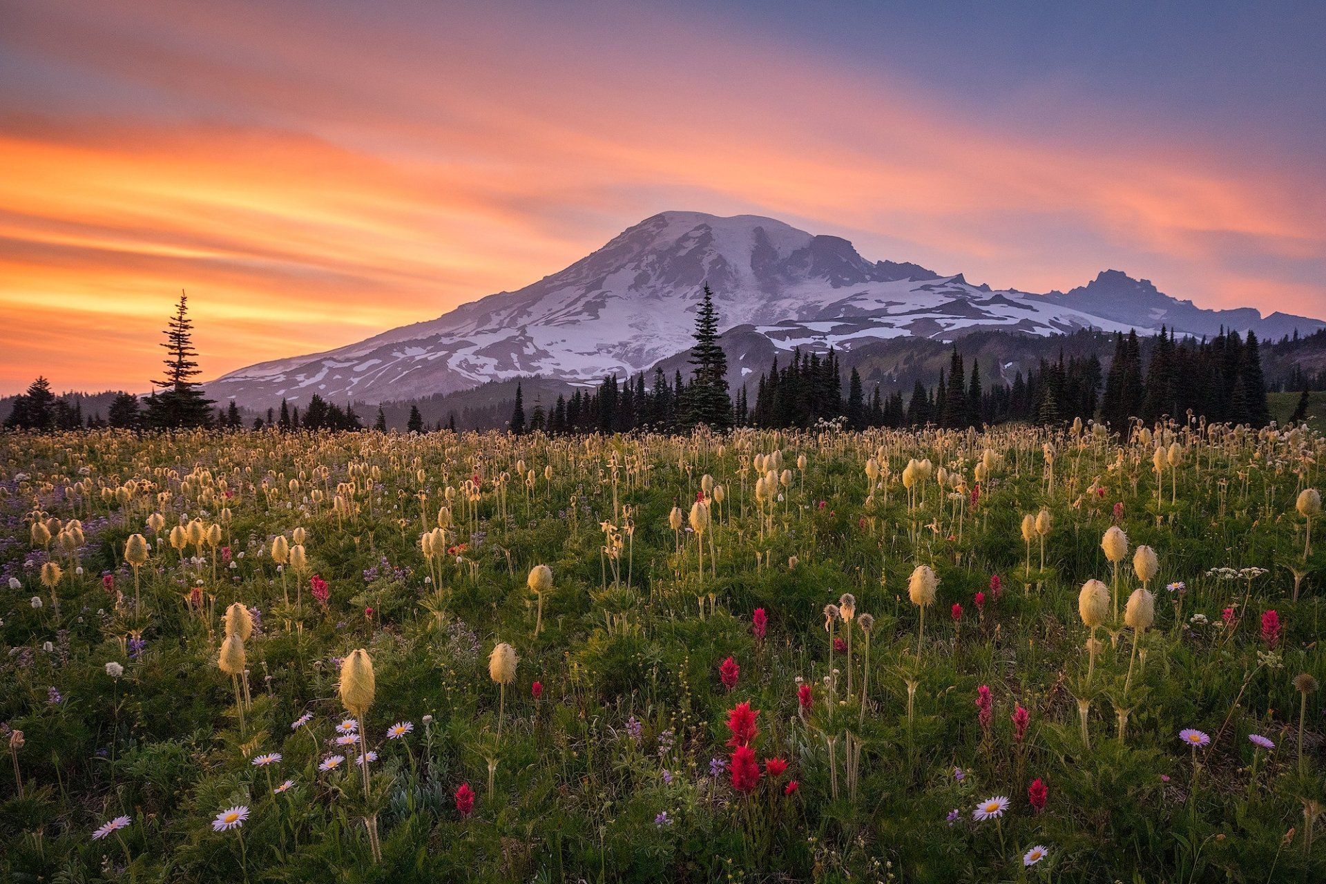 1920x1280 Nature Mount Rainier HD Wallpaper