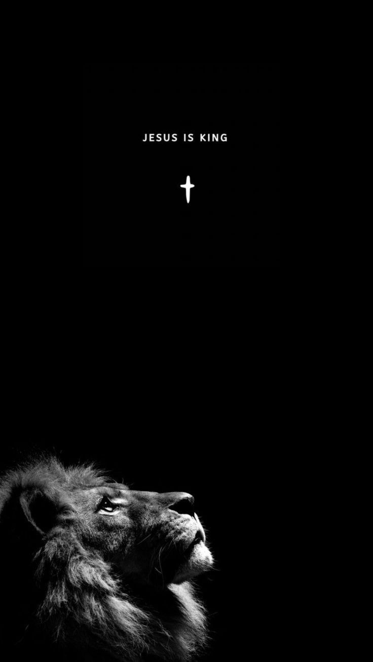 736x1307 Pin page