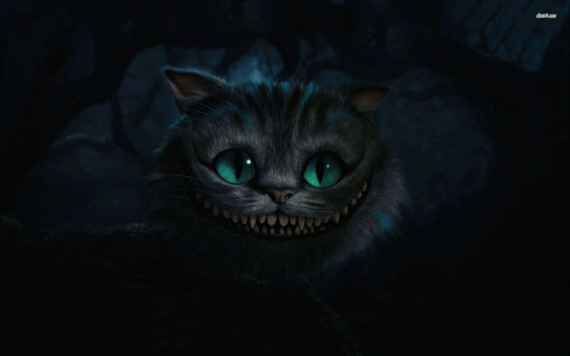 Cheshire Cat Tumblr  Cats For Laptop Trippy Cat HD wallpaper  Pxfuel