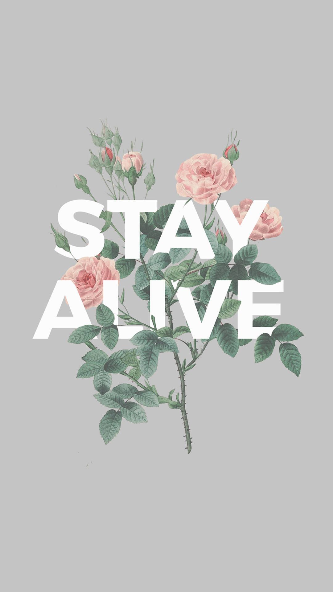 1080x1920 Stay Alive Dope iPhone Wallpaper