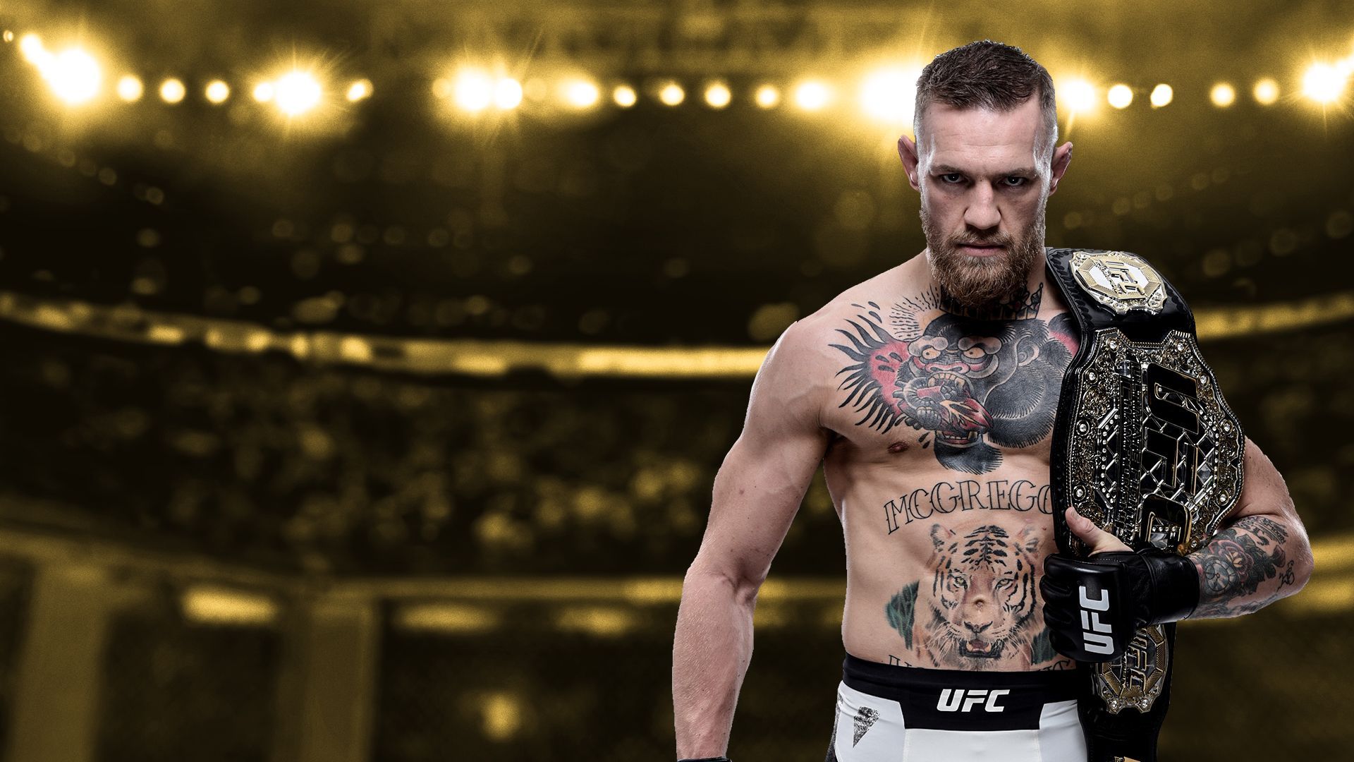 1920x1080 Download UFC Sports HD Wallpaper