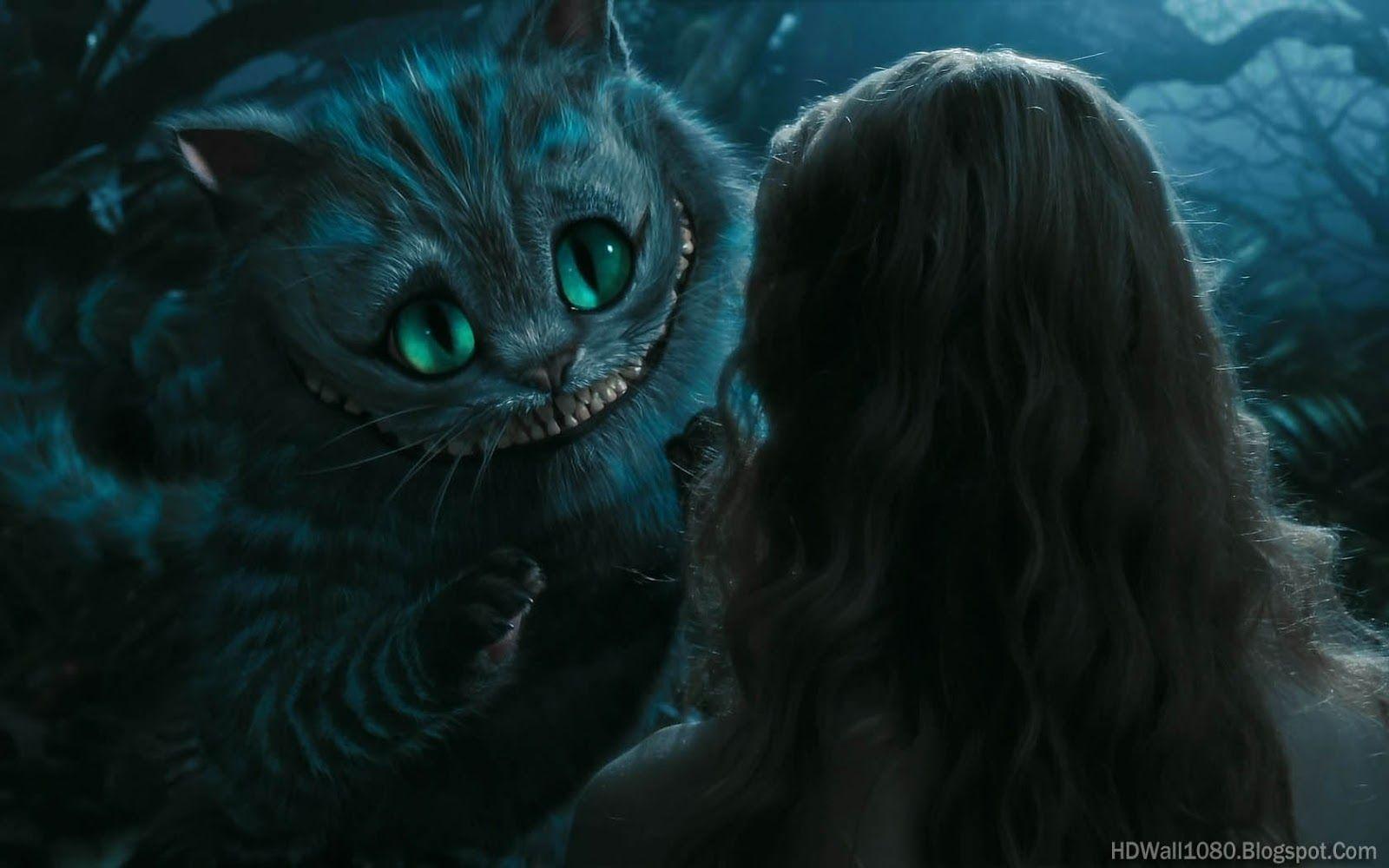 1600x1000 cat in alice in wonderland wallpapervallediurno.