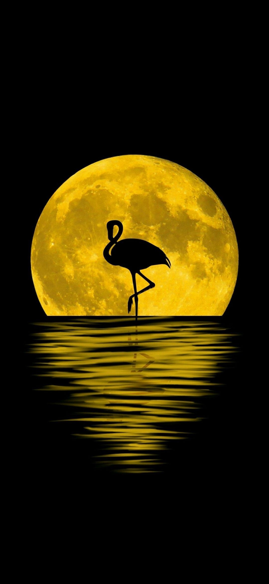 1080x2340 Oppo A94 5G Wallpaper and HD