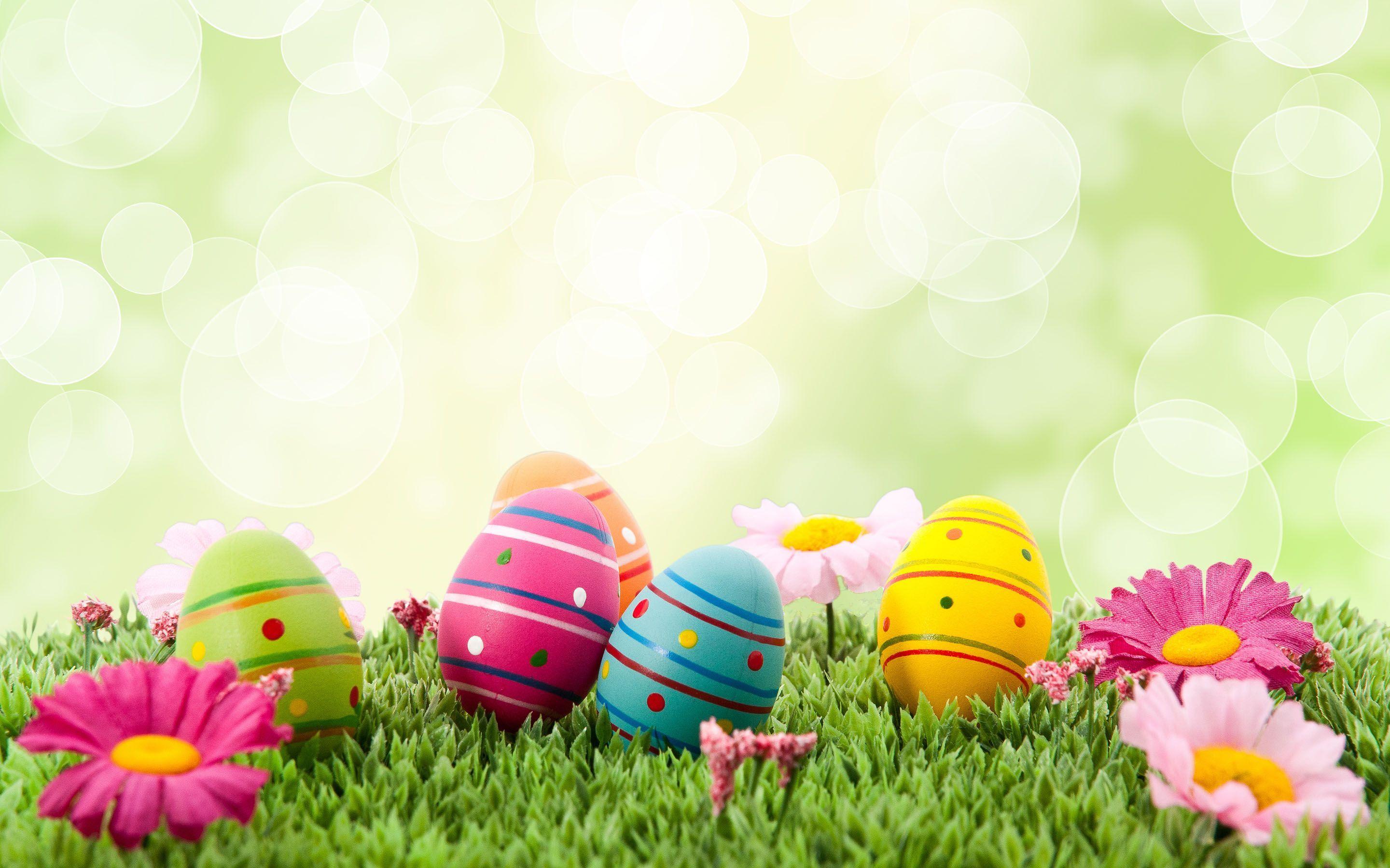 2880x1800 happy easter 2017 wallpaper HD. Happy easter