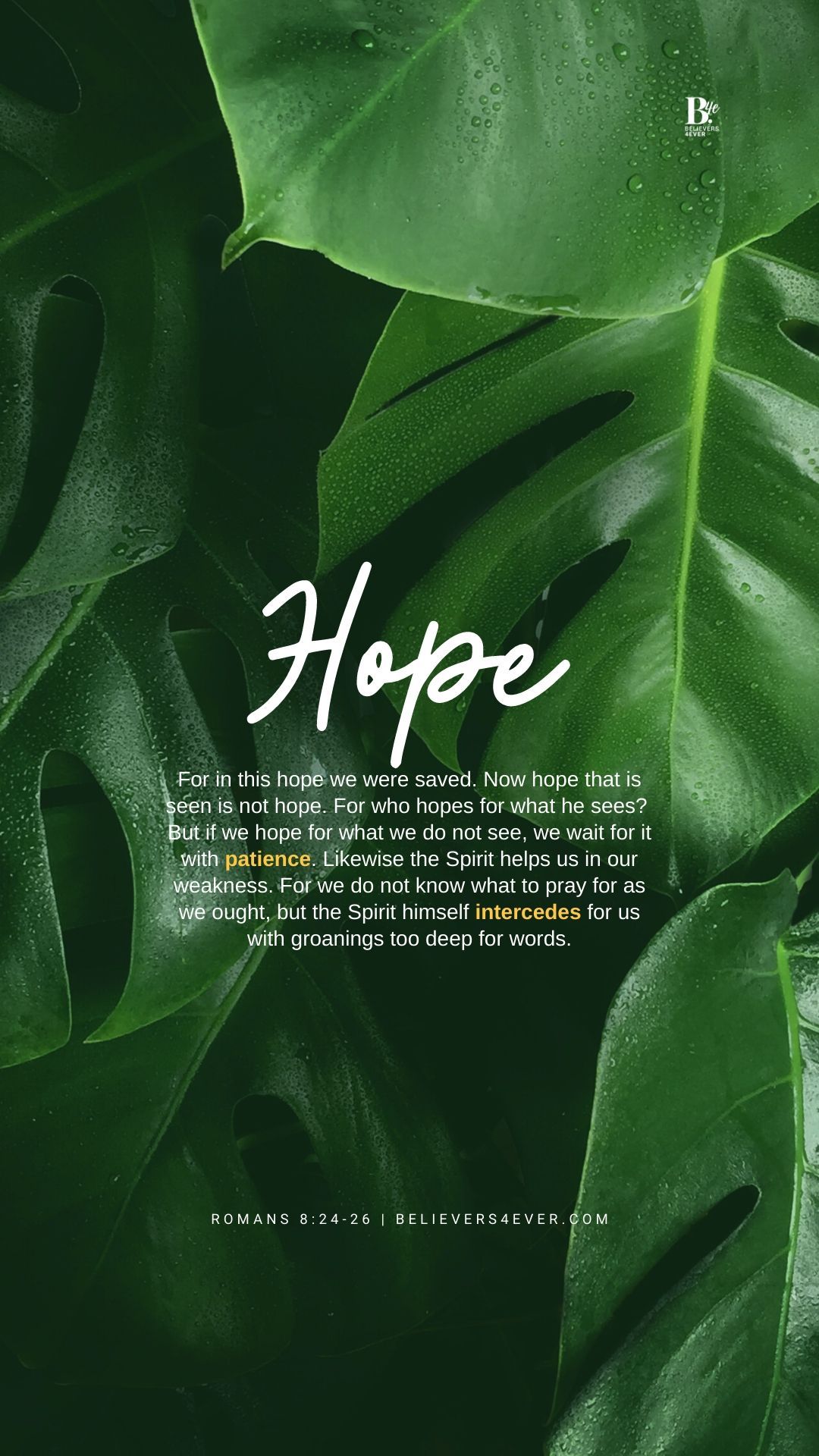 1080x1920 For in this hope mobile wallpaper