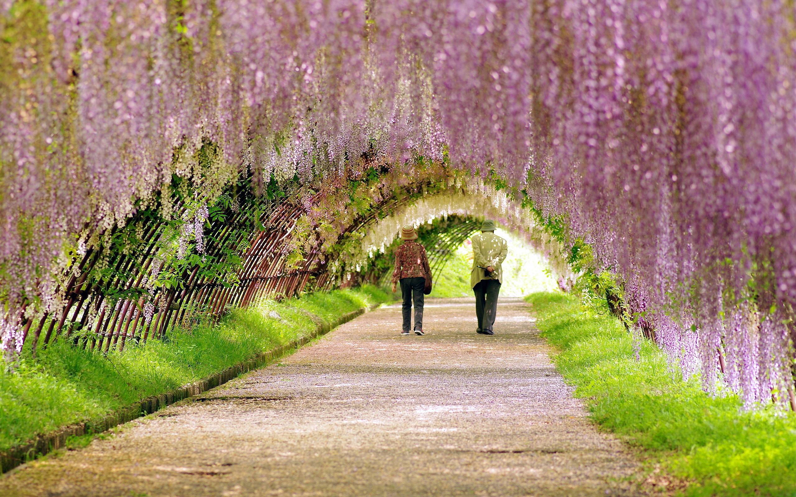2560x1600 Spring Garden Wallpaper