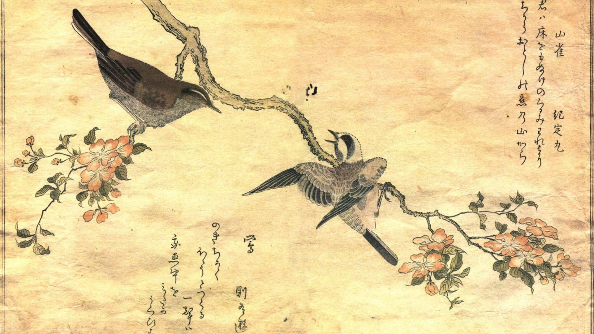 Japanese Bird Art Wallpapers Top Free Japanese Bird Art Backgrounds