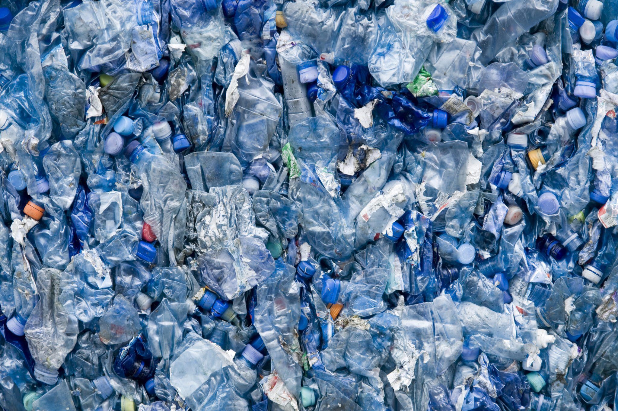 2048x1361 Plastic Pollution