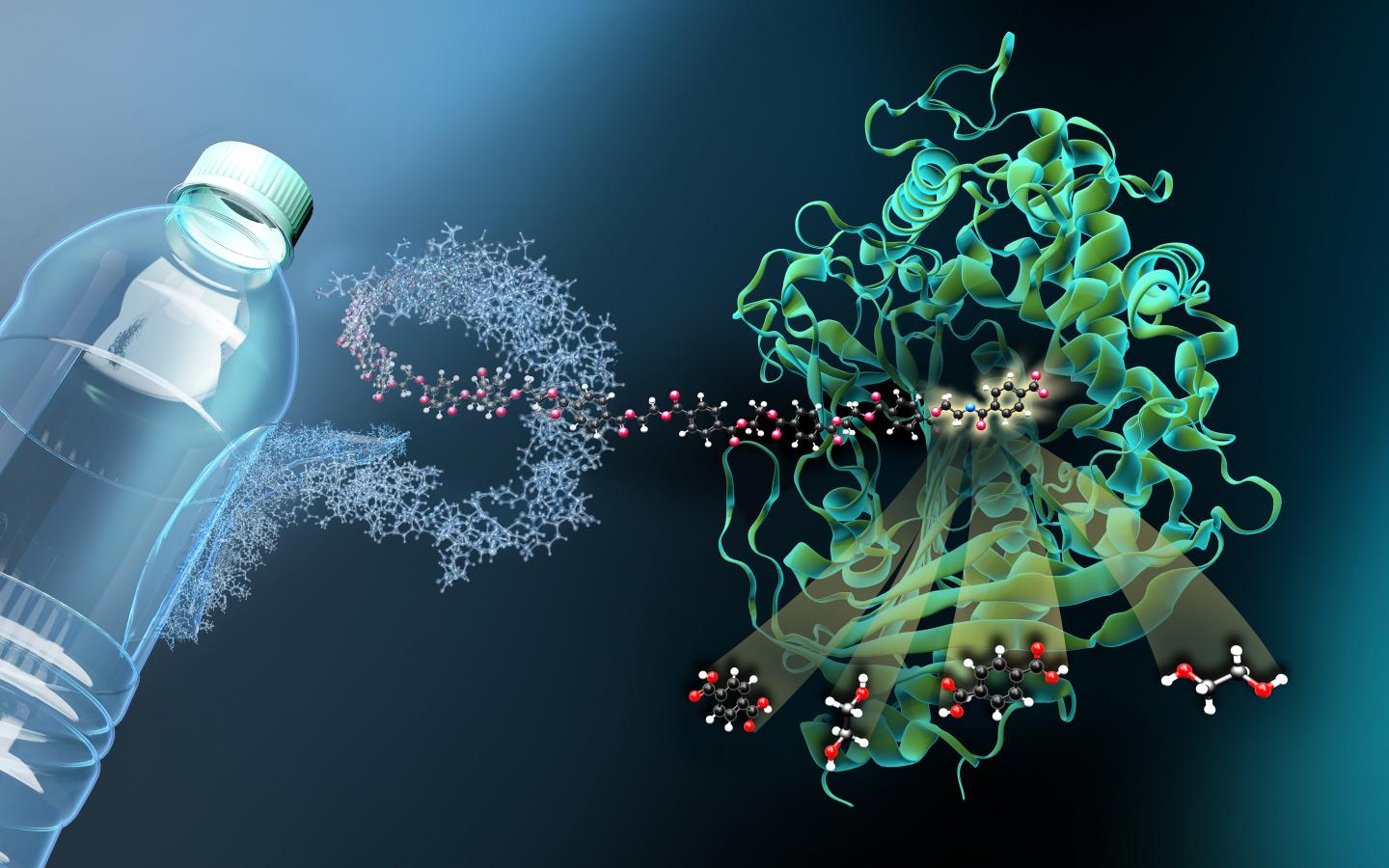 1440x900 Molecular scissors' for plastic waste