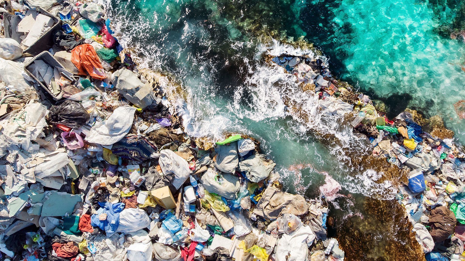 1920x1080 Plastic Waste on Marine Life
