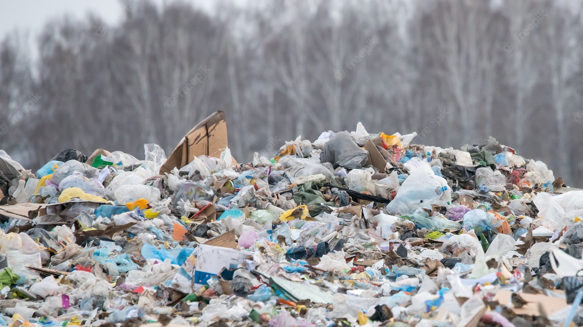 2000x1124 Plastic Waste Wallpaper