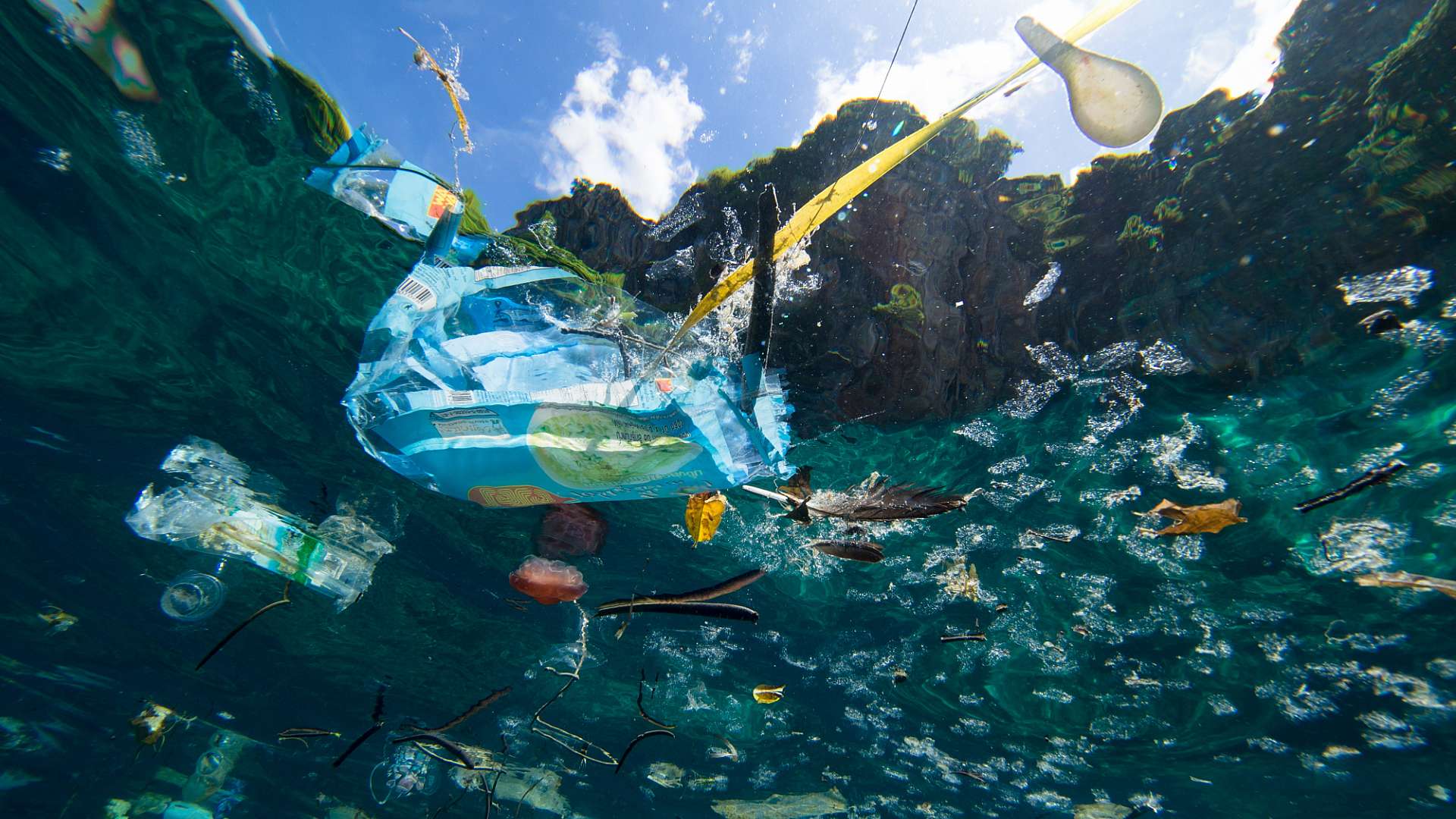 1920x1080 Plastic Pollution Wallpaper