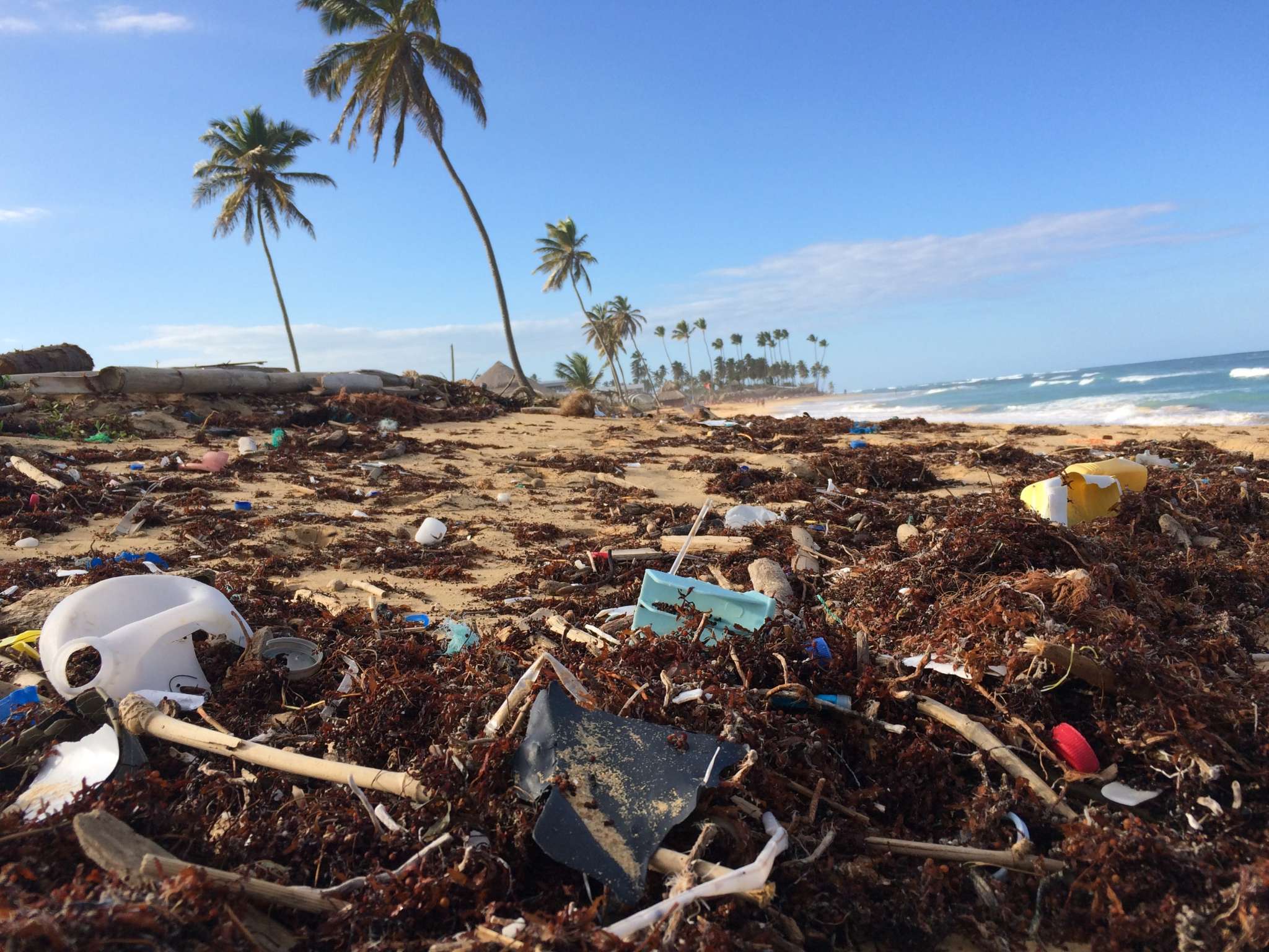2048x1536 Operation Wallacea: The Plastic Problem