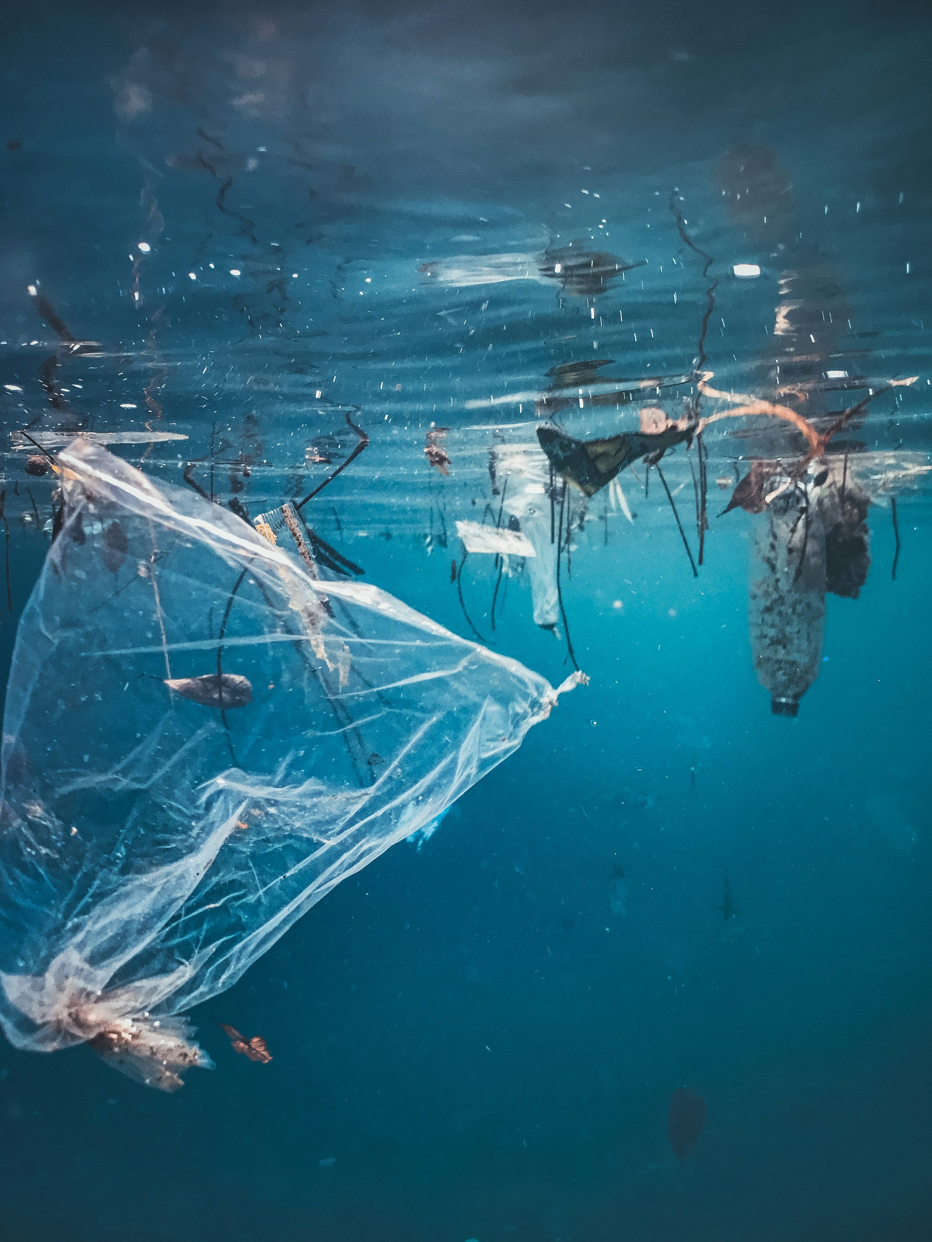 3000x4000 Plastic Bags Picture. Download Free