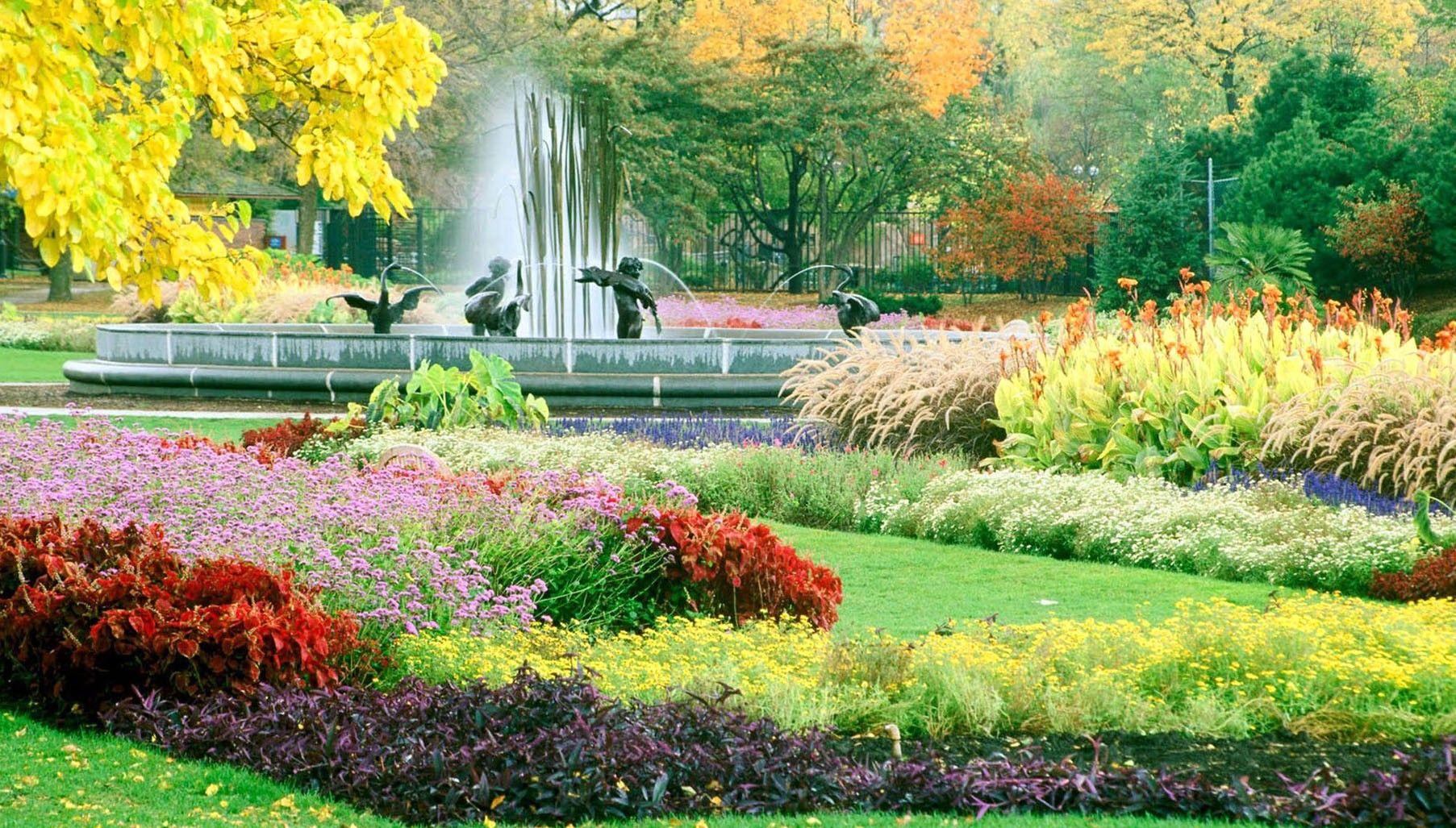 1805x1027 Beautiful, Garden, HD, Wallpaper, Desktop Wallpaper, HD