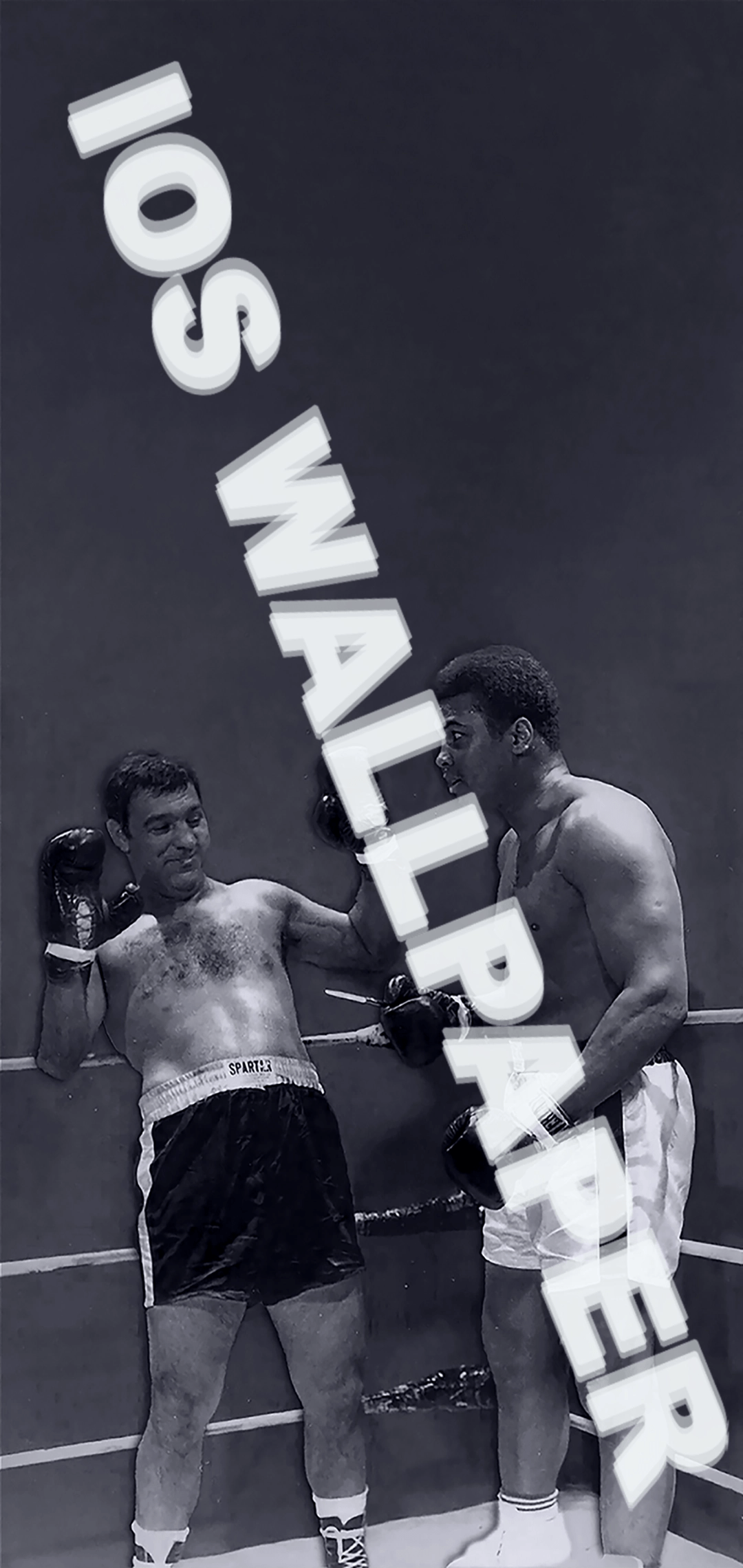 1080x2280 Rocky Marciano w/ Muhammad Ali