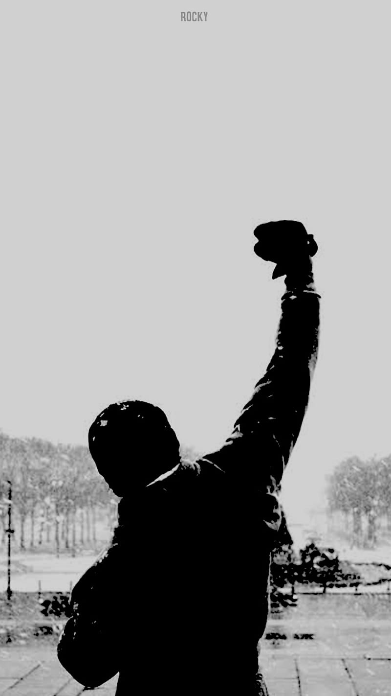800x1422 Rocky Balboa, gym, italian stallion, HD