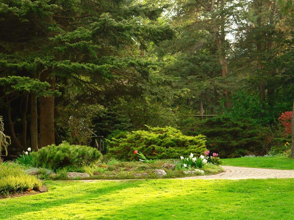 1024x768 Free download Beautiful Garden HD Desktop Natural Wallp